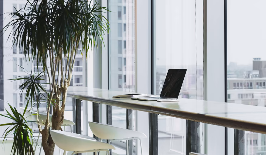 What Are Back Office Services: Definition, Examples, Roles & Responsibilities